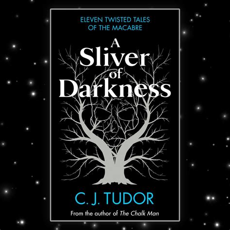 c j tudor a sliver of darkness